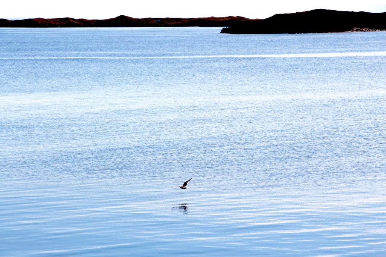 Mar Guesthouse Stykkisholmur Bagian luar foto